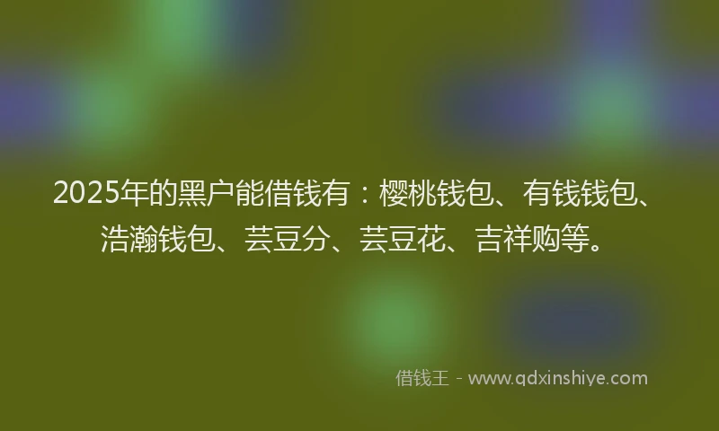 2025年的黑户能借钱有：樱桃钱包、有钱钱包、浩瀚钱包、芸豆分、芸豆花、吉祥购等。