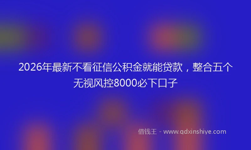 2026年最新不看征信公积金就能贷款,整合五个无视风控8000必下口子