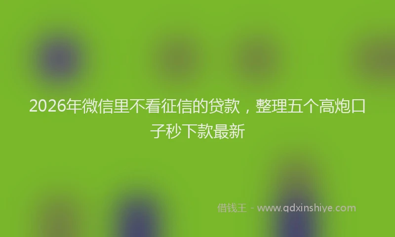 2026年微信里不看征信的贷款，整理五个高炮口子秒下款最新