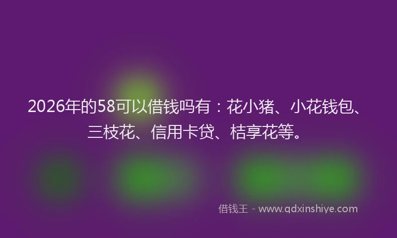 2026年的58可以借钱吗有:花小猪、小花钱包、三枝花、信用卡贷、桔享花等。