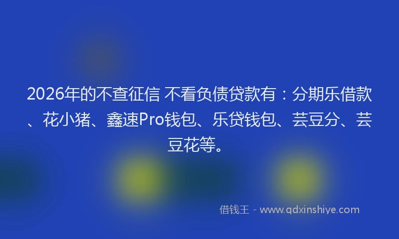 2026年的不查征信 不看负债贷款有:分期乐借款、花小猪、鑫速Pro钱包、乐贷钱包、芸豆分、芸豆花等。