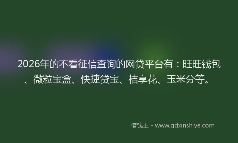 2026年的不看征信查询的网贷平台有:旺旺钱包、微粒宝盒、快捷贷宝、桔享花、玉米分等。