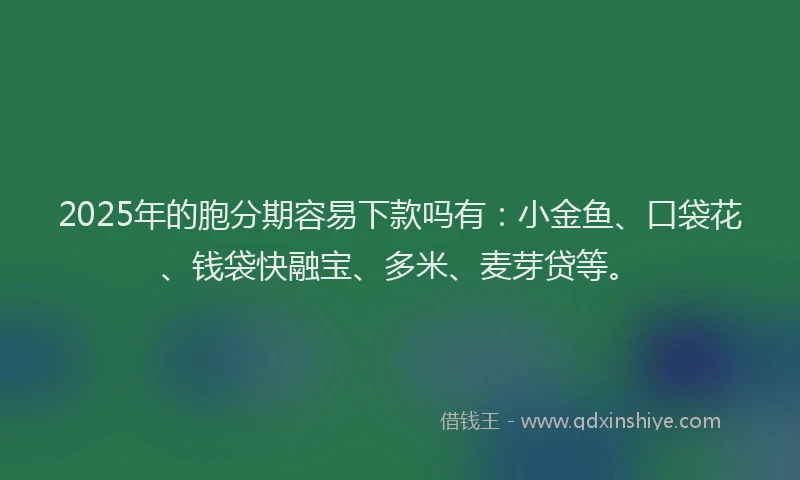 2025年的胞分期容易下款吗有：小金鱼、口袋花、钱袋快融宝、多米、麦芽贷等。