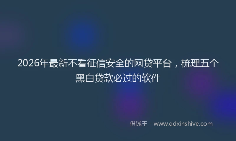 2026年最新不看征信安全的网贷平台,梳理五个黑白贷款必过的软件
