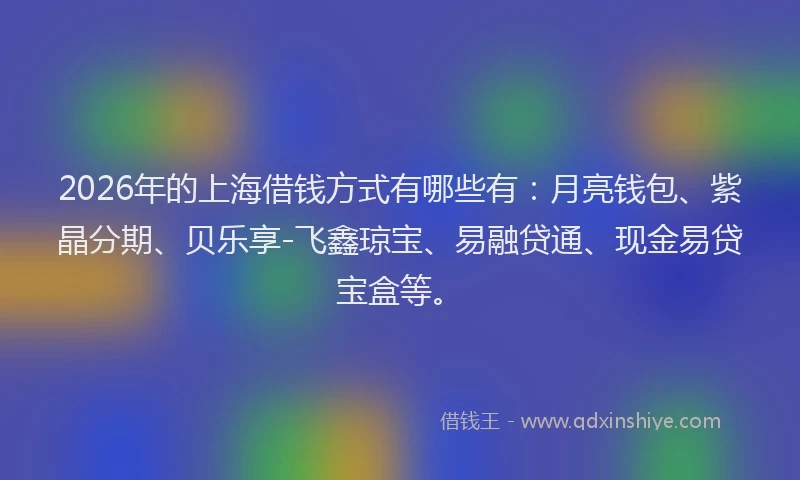 2026年的上海借钱方式有哪些有:月亮钱包、紫晶分期、贝乐享-飞鑫琼宝、易融贷通、现金易贷宝盒等。