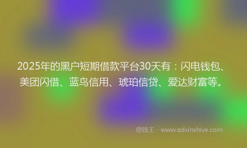 2025年的黑户短期借款平台30天有:闪电钱包、美团闪借、蓝鸟信用、琥珀信贷、爱达财富等。