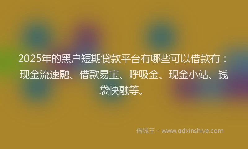 2025年的黑户短期贷款平台有哪些可以借款有：现金流速融、借款易宝、呼吸金、现金小站、钱袋快融等。