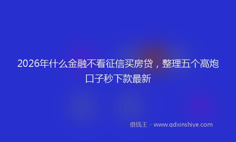 2026年什么金融不看征信买房贷，整理五个高炮口子秒下款最新