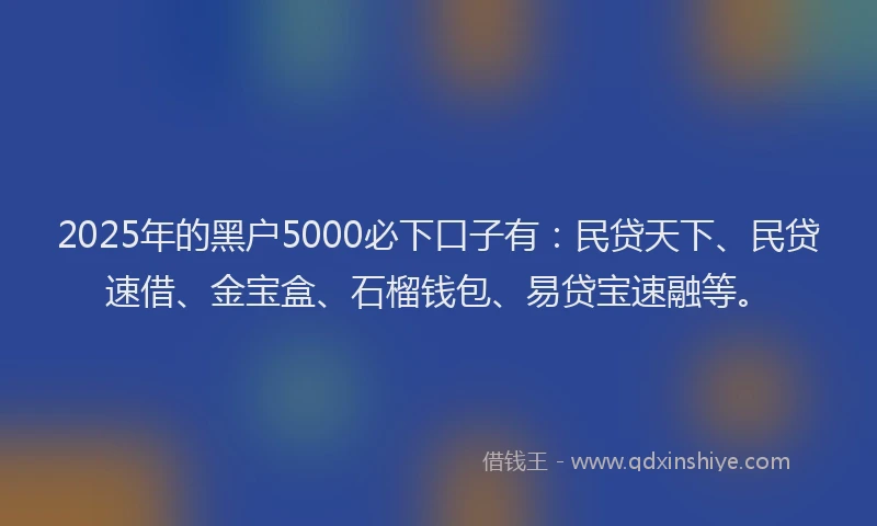 2025年的黑户5000必下口子有：民贷天下、民贷速借、金宝盒、石榴钱包、易贷宝速融等。
