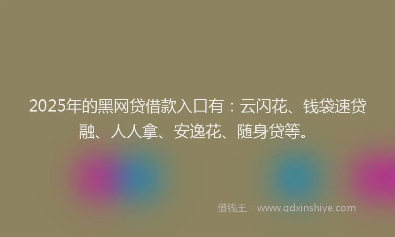 2025年的黑网贷借款入口有：云闪花、钱袋速贷融、人人拿、安逸花、随身贷等。