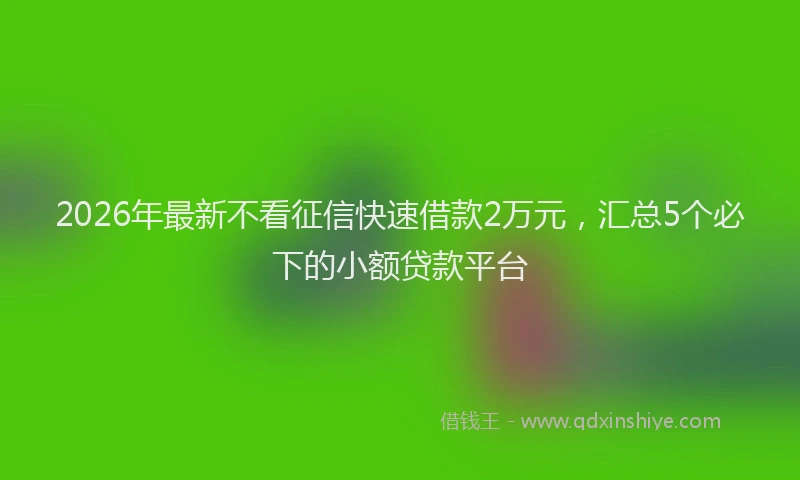 2026年最新不看征信快速借款2万元，汇总5个必下的小额贷款平台
