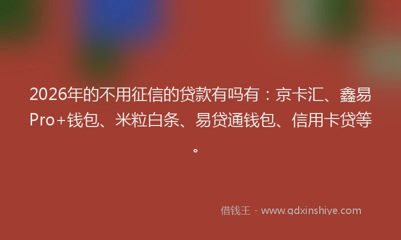 2026年的不用征信的贷款有吗有:京卡汇、鑫易Pro+钱包、米粒白条、易贷通钱包、信用卡贷等。