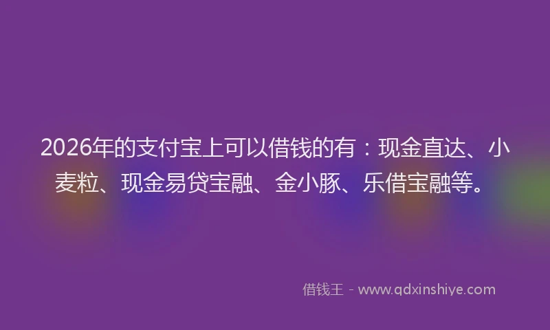 2026年的支付宝上可以借钱的有：现金直达、小麦粒、现金易贷宝融、金小豚、乐借宝融等。