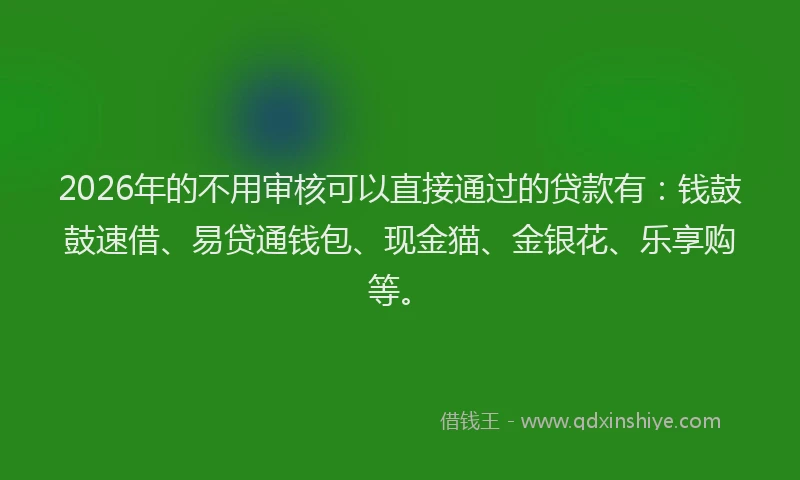 2026年的不用审核可以直接通过的贷款有：钱鼓鼓速借、易贷通钱包、现金猫、金银花、乐享购等。