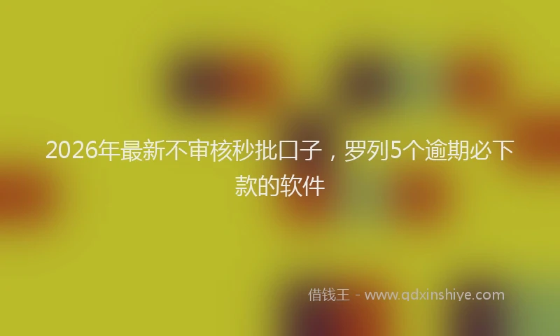 2026年最新不审核秒批口子,罗列5个逾期必下款的软件