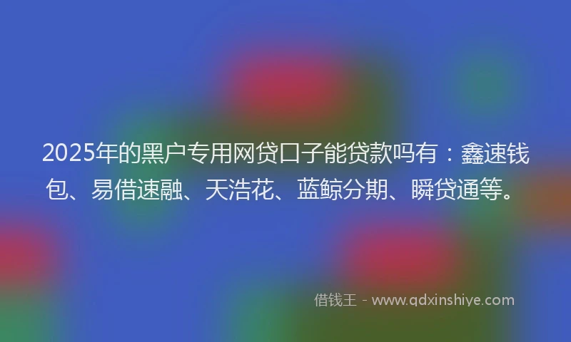 2025年的黑户专用网贷口子能贷款吗有：鑫速钱包、易借速融、天浩花、蓝鲸分期、瞬贷通等。