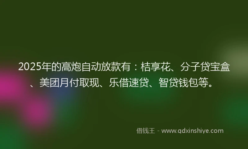 2025年的高炮自动放款有：桔享花、分子贷宝盒、美团月付取现、乐借速贷、智贷钱包等。