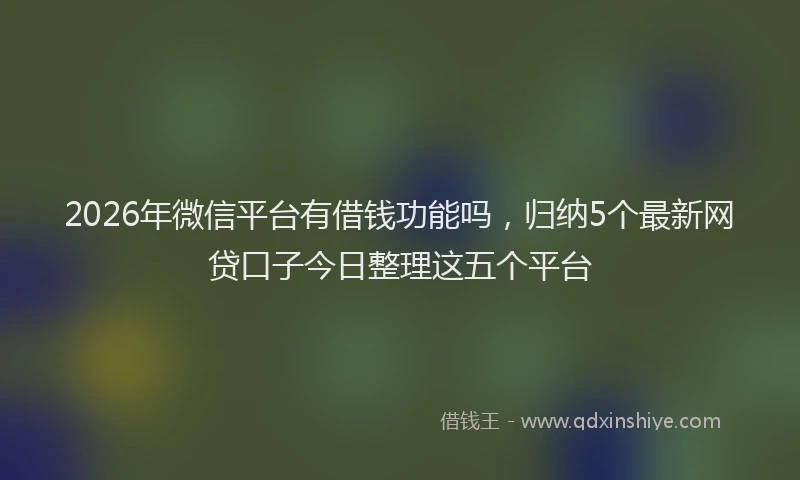 2026年微信平台有借钱功能吗,归纳5个最新网贷口子今日整理这五个平台