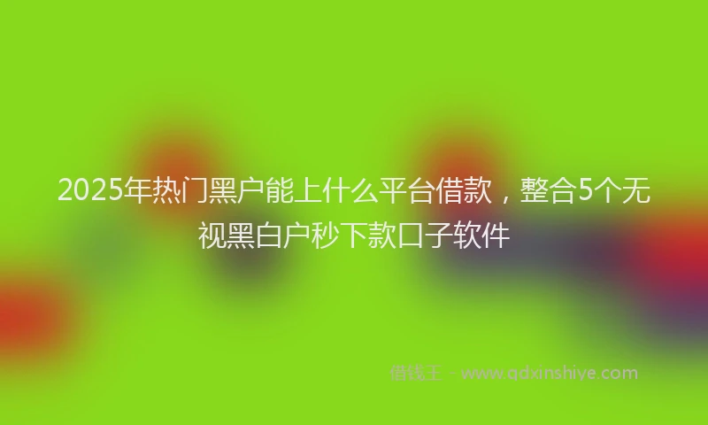 2025年热门黑户能上什么平台借款,整合5个无视黑白户秒下款口子软件