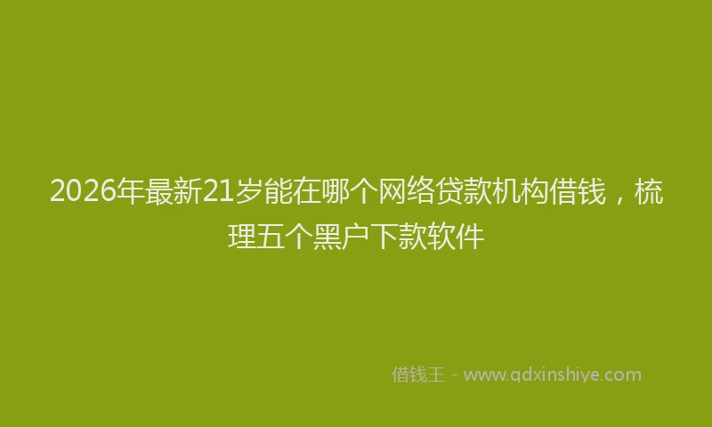 2026年最新21岁能在哪个网络贷款机构借钱，梳理五个黑户下款软件