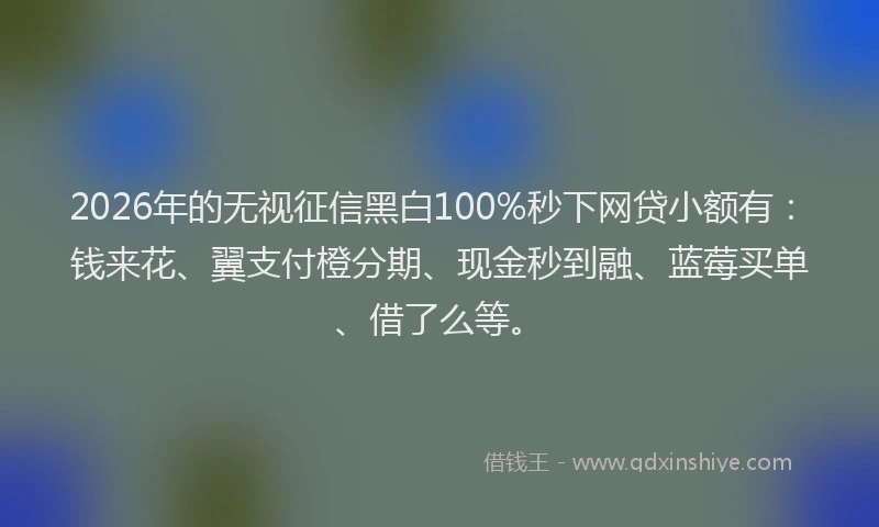 2026年的无视征信黑白100%秒下网贷小额有:钱来花、翼支付橙分期、现金秒到融、蓝莓买单、借了么等。