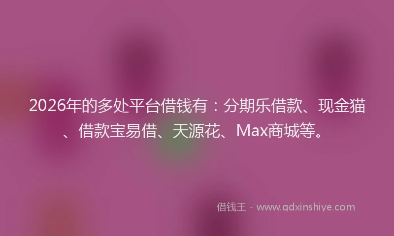 2026年的多处平台借钱有：分期乐借款、现金猫、借款宝易借、天源花、Max商城等。