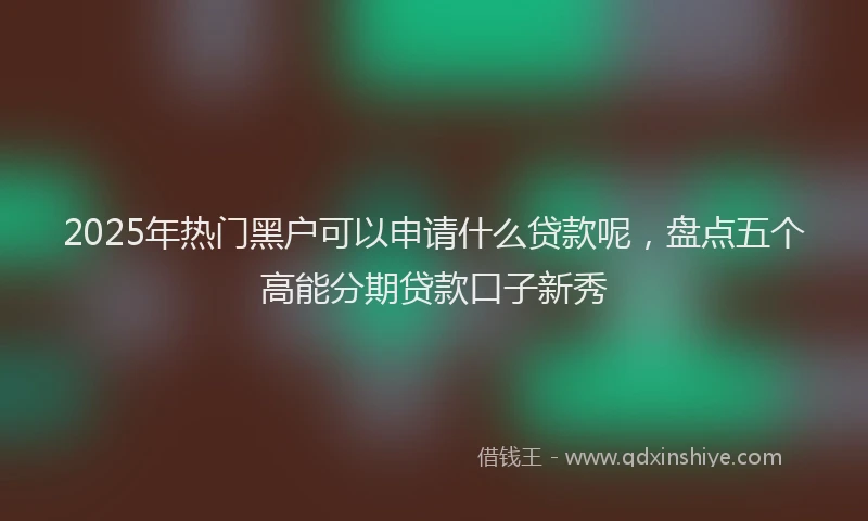 2025年热门黑户可以申请什么贷款呢，盘点五个高能分期贷款口子新秀