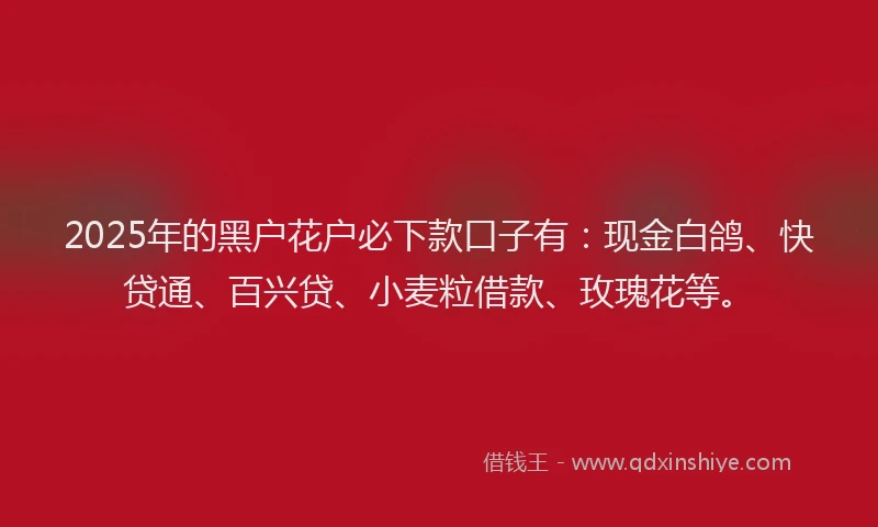2025年的黑户花户必下款口子有：现金白鸽、快贷通、百兴贷、小麦粒借款、玫瑰花等。