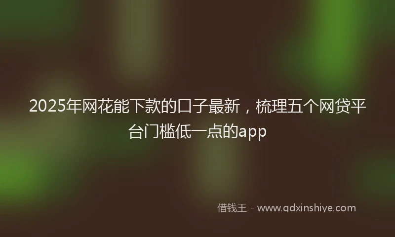 2025年网花能下款的口子最新，梳理五个网贷平台门槛低一点的app