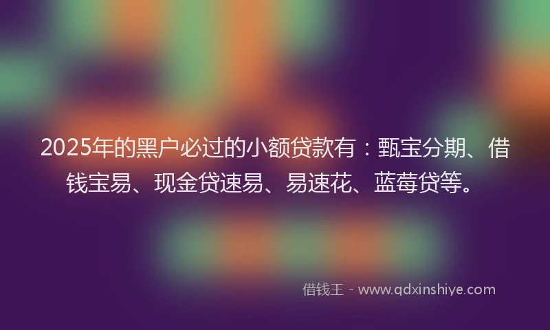2025年的黑户必过的小额贷款有：甄宝分期、借钱宝易、现金贷速易、易速花、蓝莓贷等。