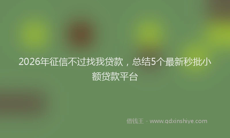 2026年征信不过找我贷款，总结5个最新秒批小额贷款平台