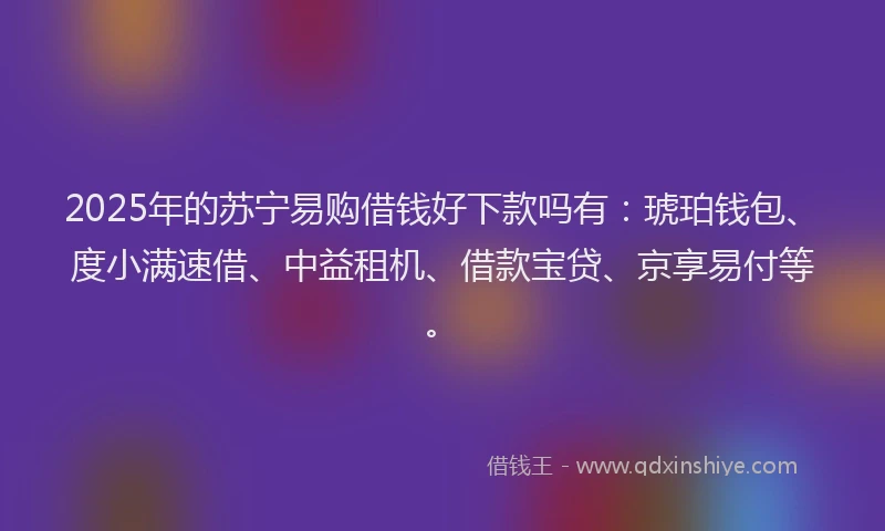 2025年的苏宁易购借钱好下款吗有：琥珀钱包、度小满速借、中益租机、借款宝贷、京享易付等。