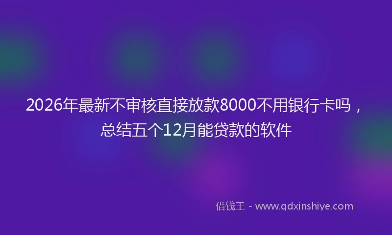 2026年最新不审核直接放款8000不用银行卡吗，总结五个12月能贷款的软件