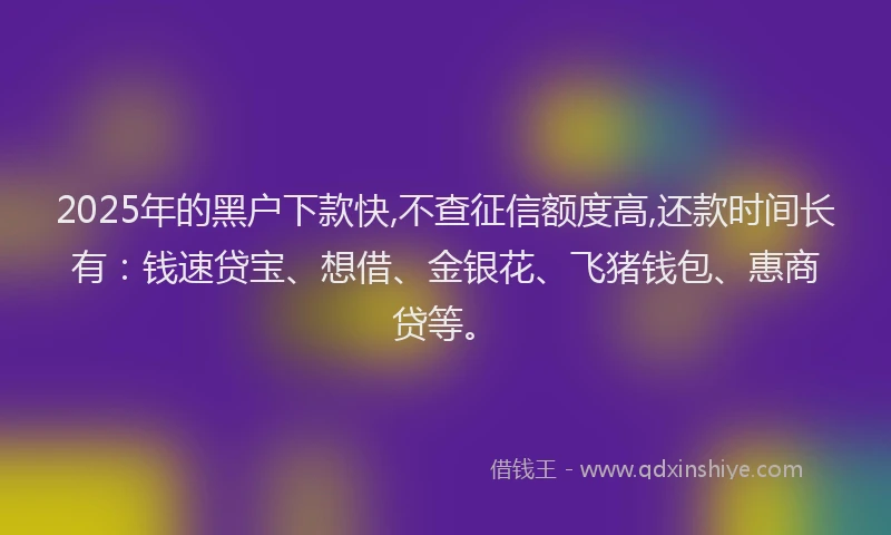 2025年的黑户下款快,不查征信额度高,还款时间长有：钱速贷宝、想借、金银花、飞猪钱包、惠商贷等。