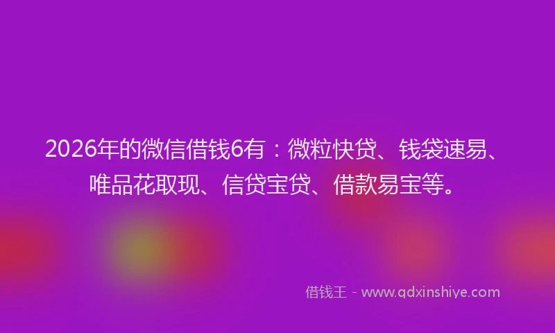 2026年的微信借钱6有:微粒快贷、钱袋速易、唯品花取现、信贷宝贷、借款易宝等。