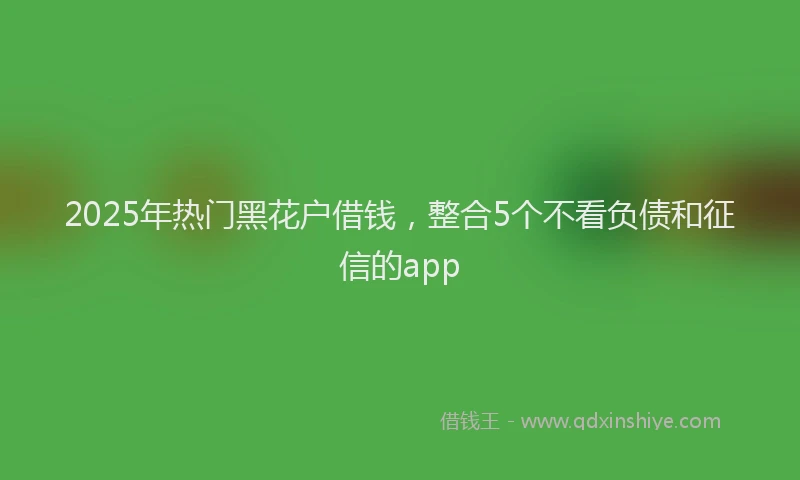2025年热门黑花户借钱,整合5个不看负债和征信的app