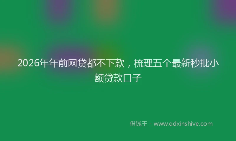 2026年年前网贷都不下款，梳理五个最新秒批小额贷款口子