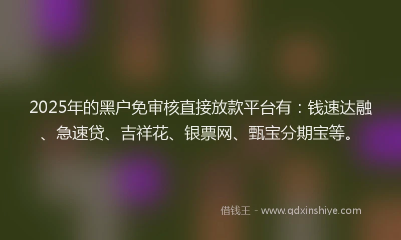 2025年的黑户免审核直接放款平台有:钱速达融、急速贷、吉祥花、银票网、甄宝分期宝等。