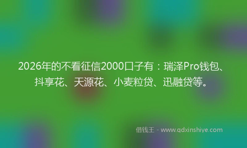 2026年的不看征信2000口子有:瑞泽Pro钱包、抖享花、天源花、小麦粒贷、迅融贷等。