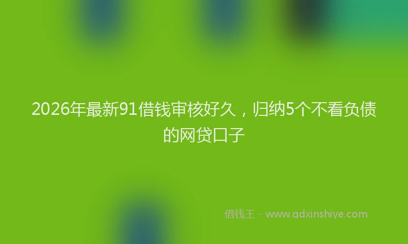 2026年最新91借钱审核好久，归纳5个不看负债的网贷口子