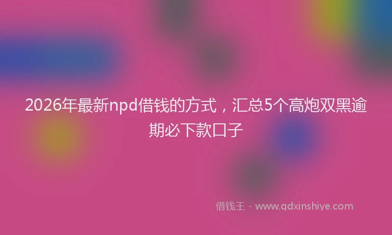 2026年最新npd借钱的方式,汇总5个高炮双黑逾期必下款口子