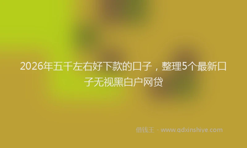 2026年五千左右好下款的口子，整理5个最新口子无视黑白户网贷