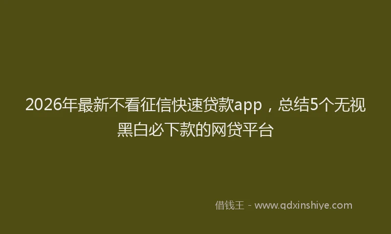 2026年最新不看征信快速贷款app，总结5个无视黑白必下款的网贷平台