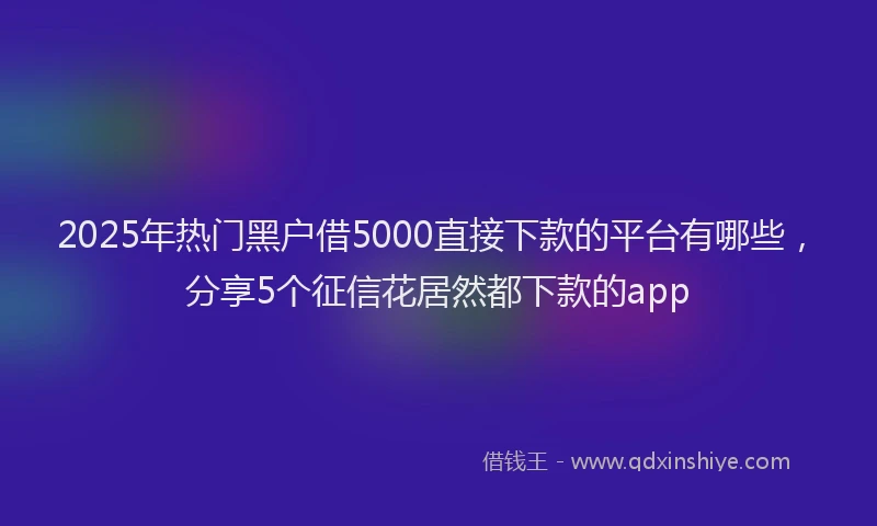 2025年热门黑户借5000直接下款的平台有哪些，分享5个征信花居然都下款的app