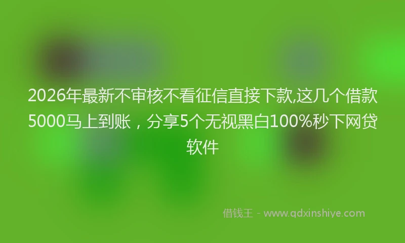 2026年最新不审核不看征信直接下款,这几个借款5000马上到账,分享5个无视黑白100%秒下网贷软件