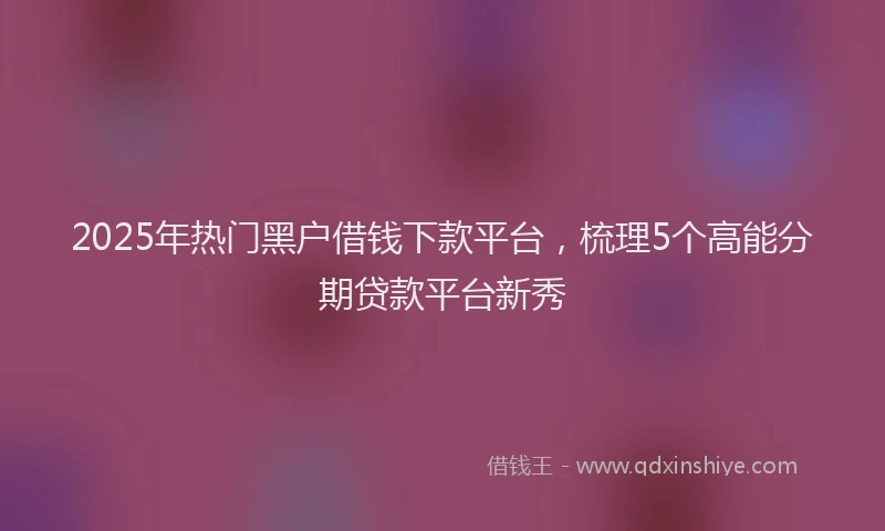 2025年热门黑户借钱下款平台,梳理5个高能分期贷款平台新秀