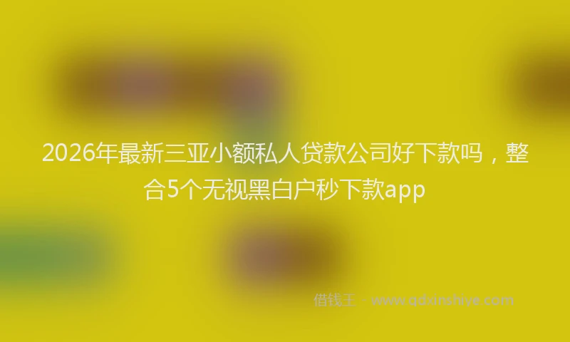 2026年最新三亚小额私人贷款公司好下款吗，整合5个无视黑白户秒下款app