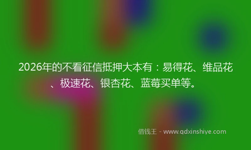 2026年的不看征信抵押大本有:易得花、维品花、极速花、银杏花、蓝莓买单等。