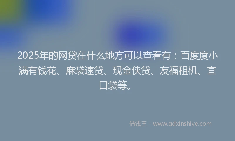 2025年的网贷在什么地方可以查看有：百度度小满有钱花、麻袋速贷、现金侠贷、友福租机、宜口袋等。