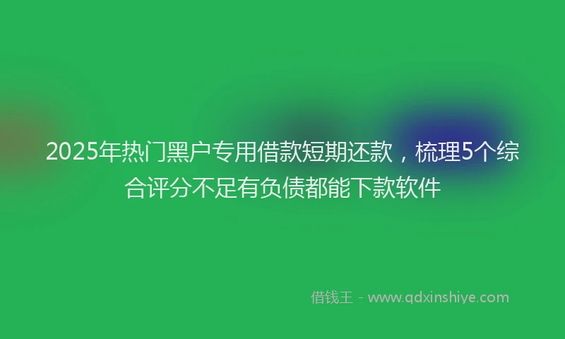 2025年热门黑户专用借款短期还款，梳理5个综合评分不足有负债都能下款软件